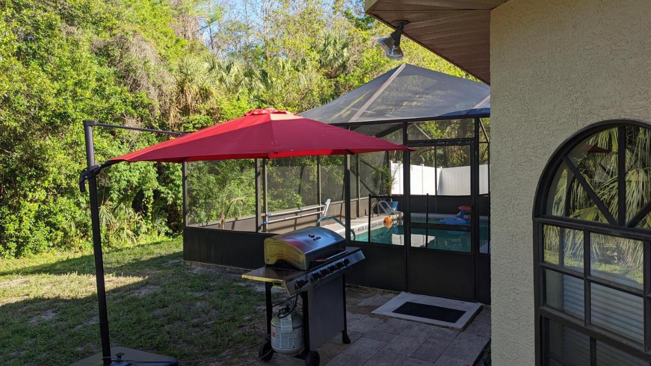 Your Manatee And Scalloping Adventure Retreat Crystal River Eksteriør bilde